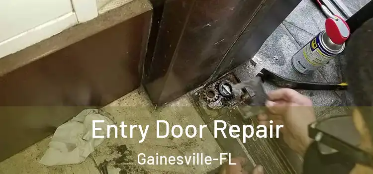  Entry Door Repair Gainesville-FL