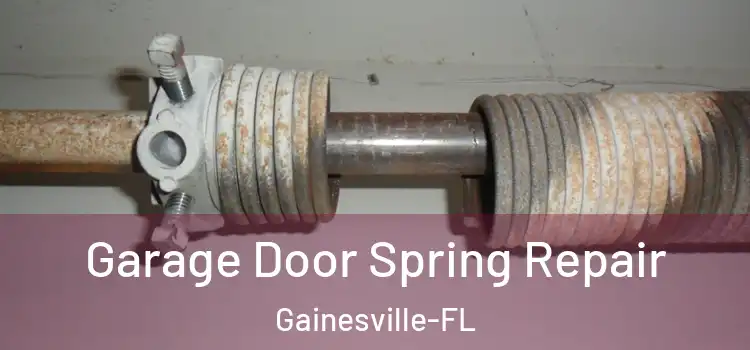  Garage Door Spring Repair Gainesville-FL