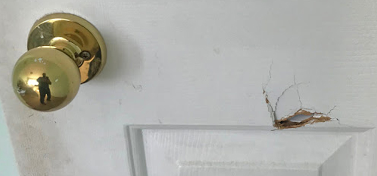 interior door hole repair Gainesville