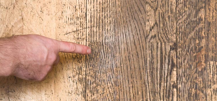 Wood Door Scratch Repair in Gainesville